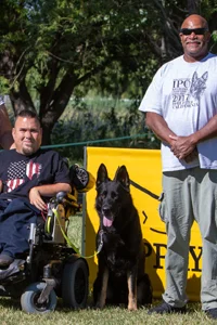 Medford puppy training