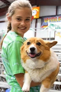 Puppy classes Medford