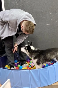 Southern Oregon puppy training classes