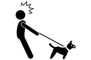 Reactive dog training in Medford Oregon