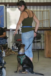 Basic obedience dog training in Medford Oregon