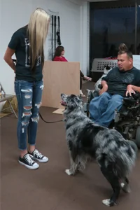 Dog learning obedience skills in Medford