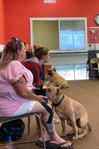 Dog obedience classes near me
