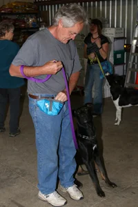Basic obedience training near Medford