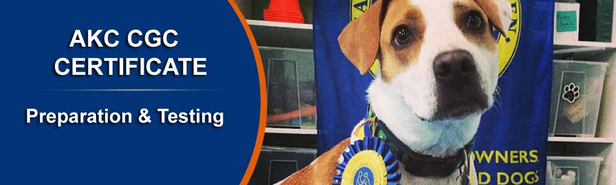 dog training near me, rogue valley dog training, medford dog training, professional dog training