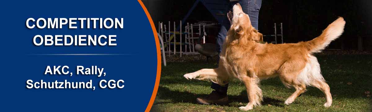 dog training near me, rogue valley dog training, medford dog training, professional dog training