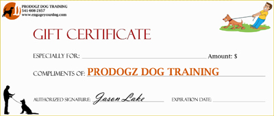 Christmas certificate
