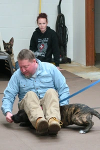 Puppy training near me