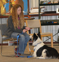 dog training near me, rogue valley dog training, medford dog training, professional dog training