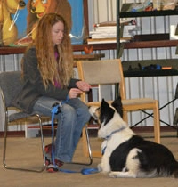 Private Dog Training